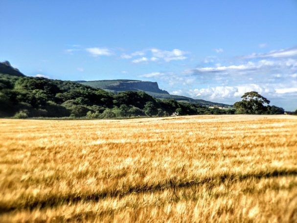 Binevenagh Mountain